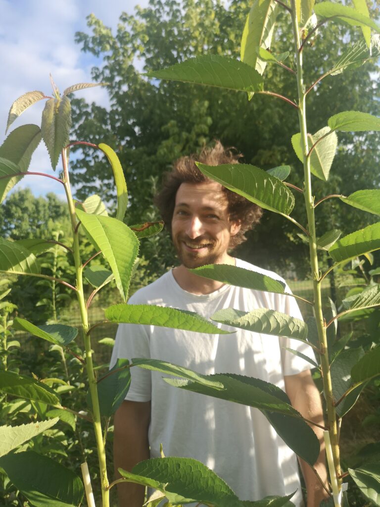 Pierre-Francois Roy , pépiniériste derrière de jeune arbres fruitiers