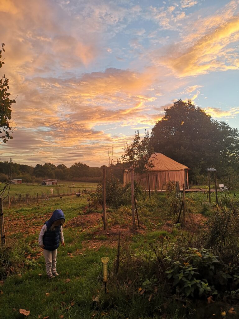 Lever du soleil sur le jardin avec yourte