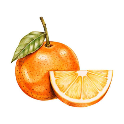 Agrumes