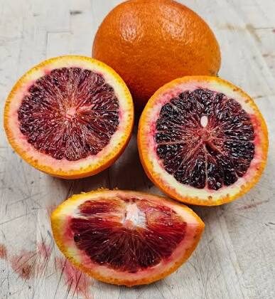 Orange sanguine ‘Sanguinelli’
