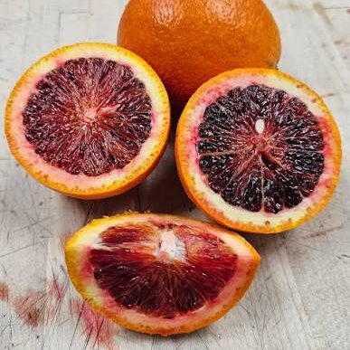 Orange sanguine ‘Sanguinelli’