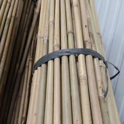 Tuteurs bambous 180 cm